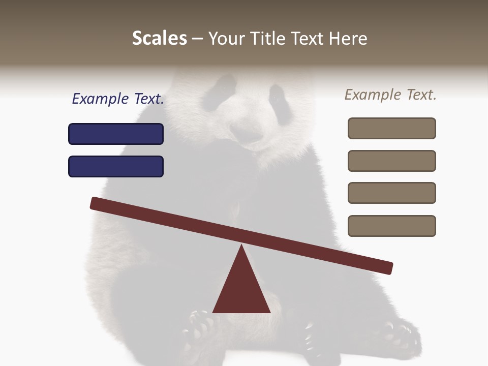 Animal Ursidae Black And White PowerPoint Template