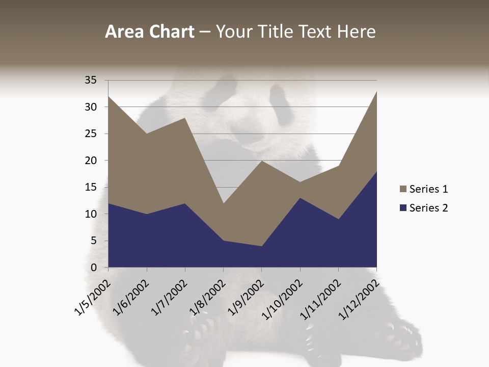 Animal Ursidae Black And White PowerPoint Template