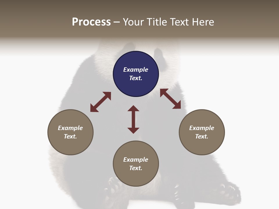 Animal Ursidae Black And White PowerPoint Template