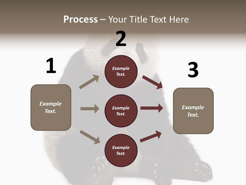 Animal Ursidae Black And White PowerPoint Template