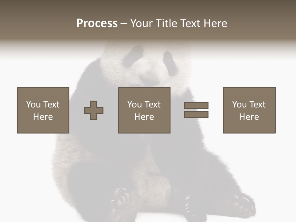 Animal Ursidae Black And White PowerPoint Template