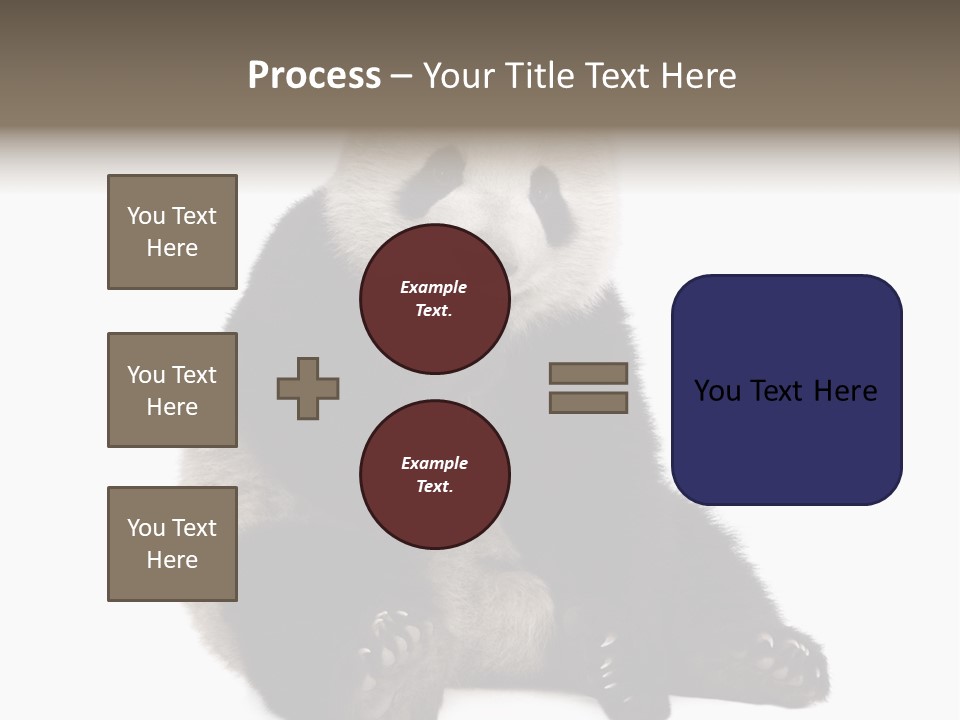 Animal Ursidae Black And White PowerPoint Template