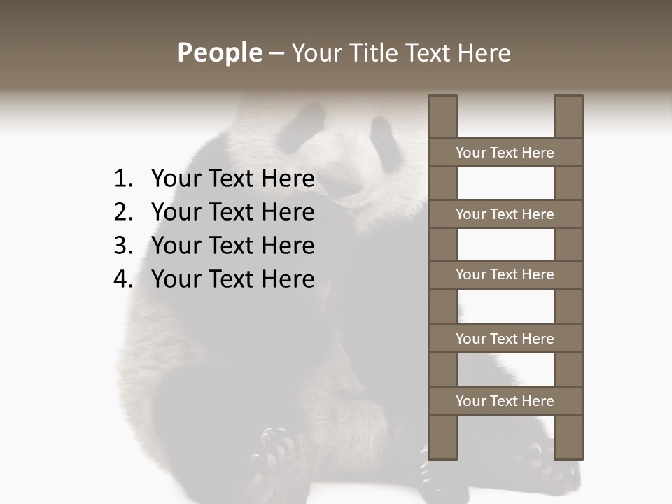 Animal Ursidae Black And White PowerPoint Template