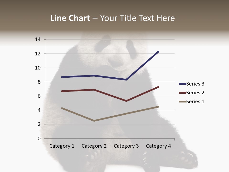 Animal Ursidae Black And White PowerPoint Template