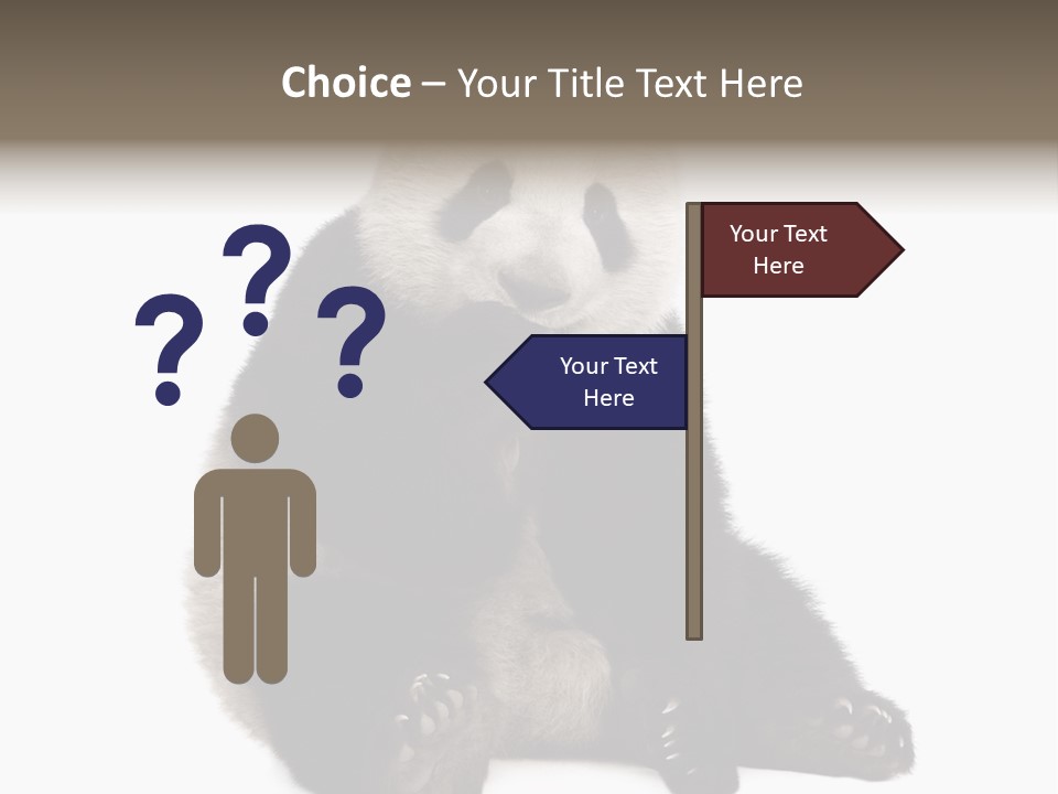 Animal Ursidae Black And White PowerPoint Template