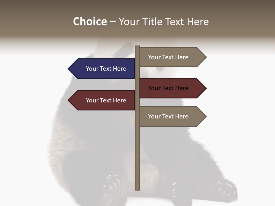 Animal Ursidae Black And White PowerPoint Template