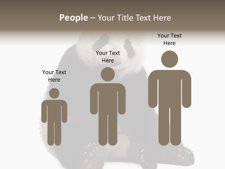 Animal Ursidae Black And White PowerPoint Template