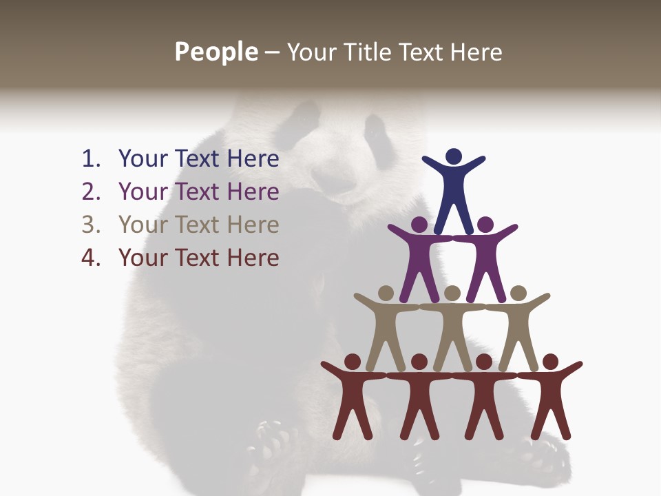 Animal Ursidae Black And White PowerPoint Template