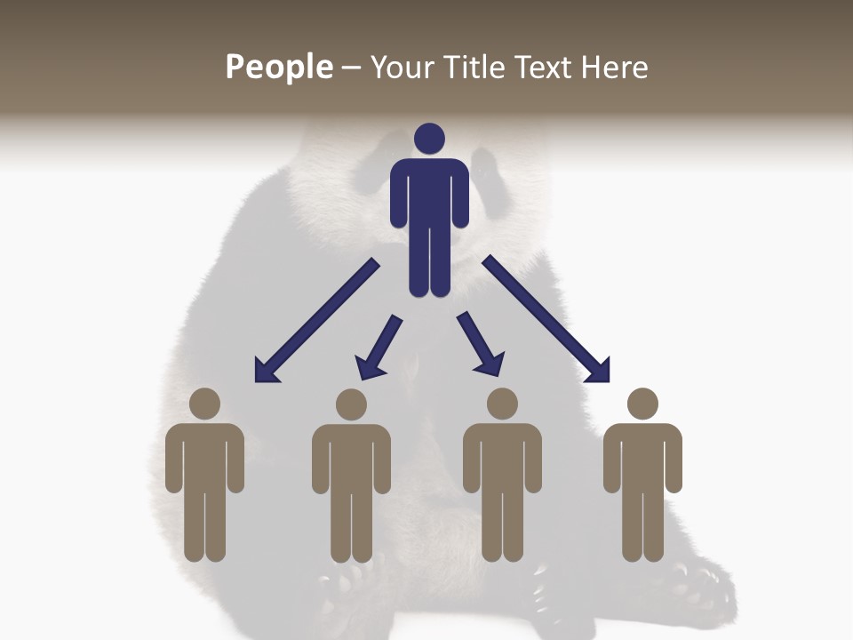 Animal Ursidae Black And White PowerPoint Template