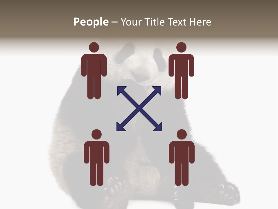 Animal Ursidae Black And White PowerPoint Template