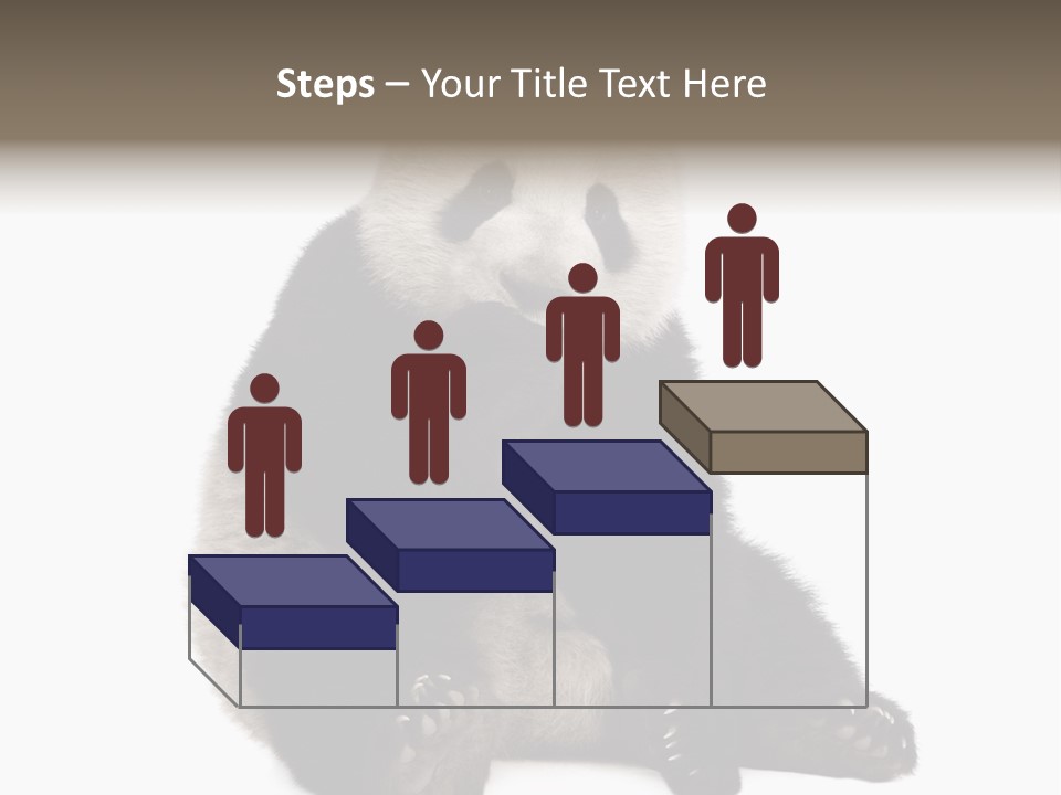 Animal Ursidae Black And White PowerPoint Template