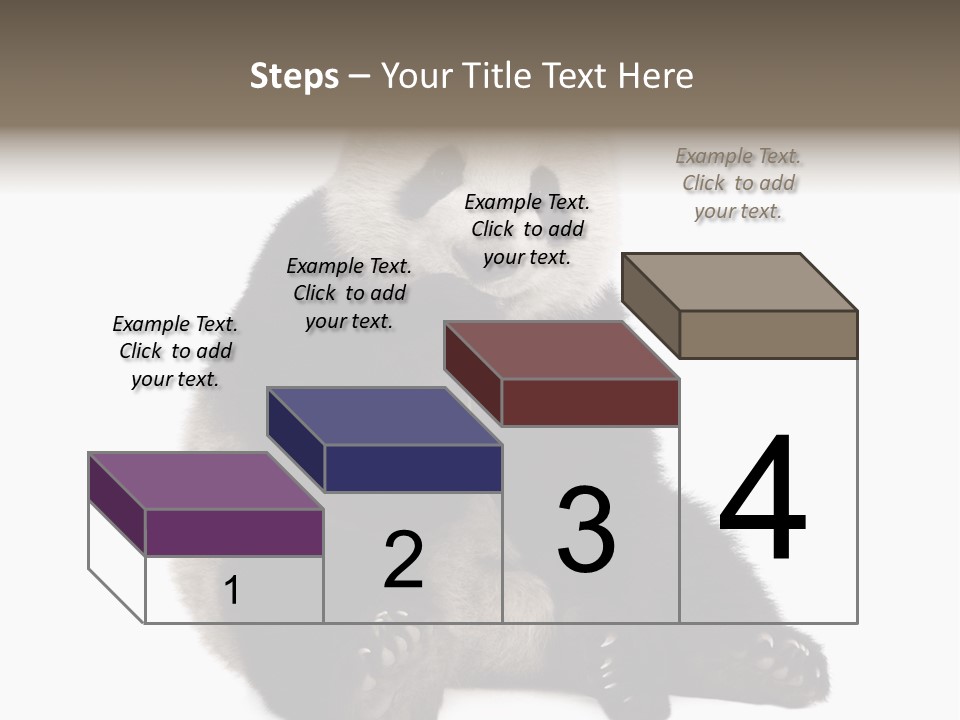 Animal Ursidae Black And White PowerPoint Template