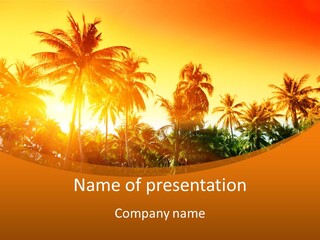 Wood Forest Evening PowerPoint Template