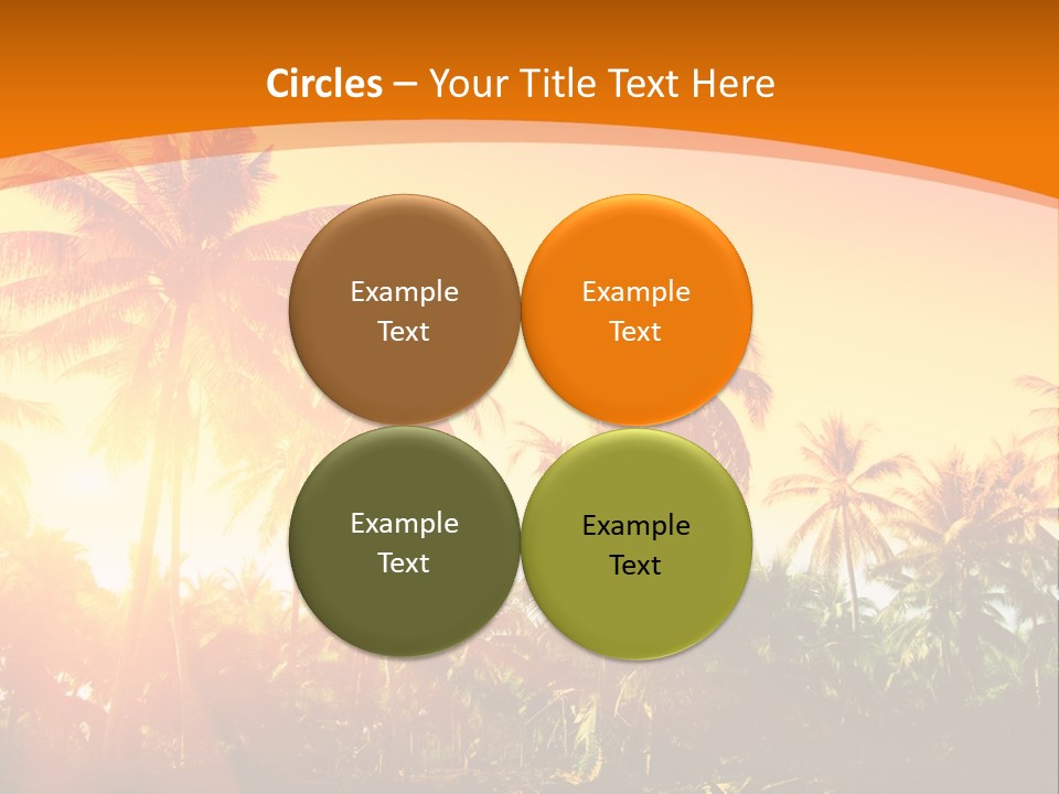 Wood Forest Evening PowerPoint Template