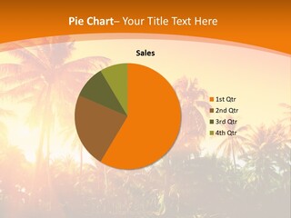 Wood Forest Evening PowerPoint Template