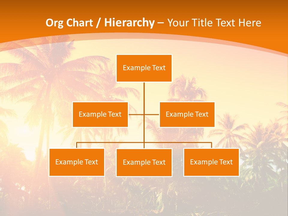 Wood Forest Evening PowerPoint Template
