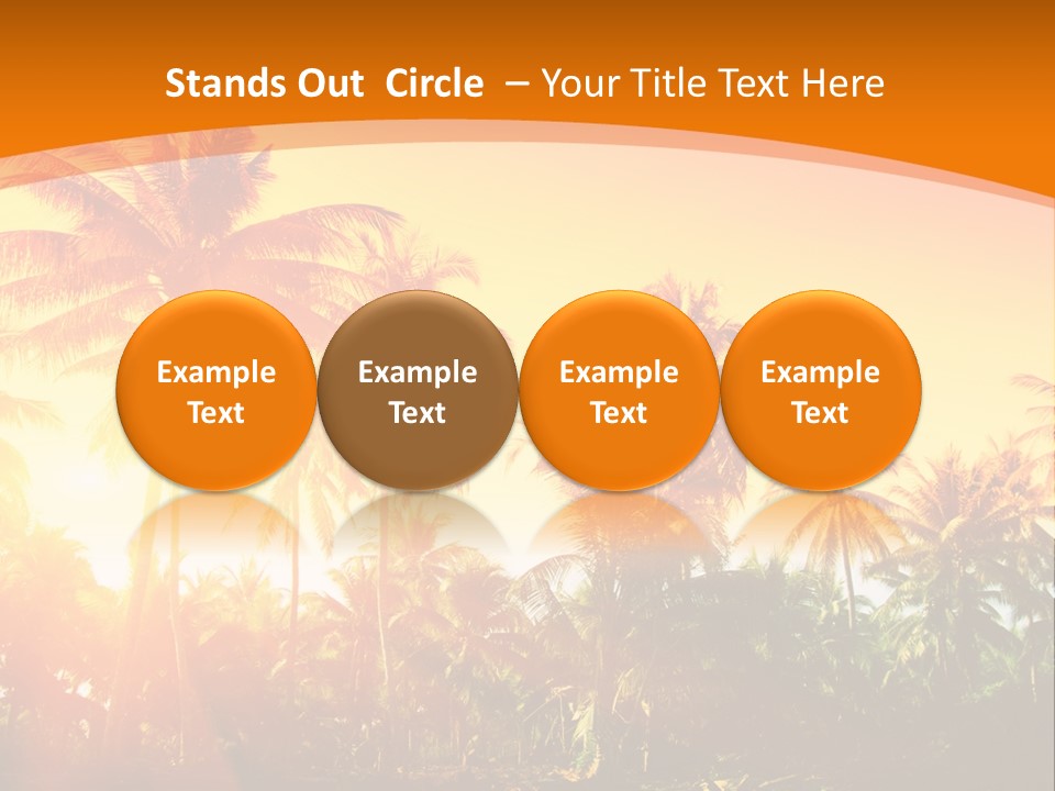 Wood Forest Evening PowerPoint Template