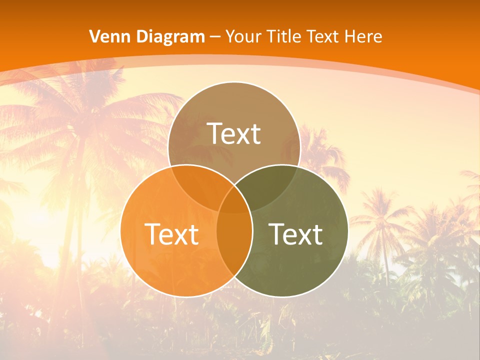 Wood Forest Evening PowerPoint Template