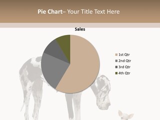 Huge Sitting Togetherness PowerPoint Template