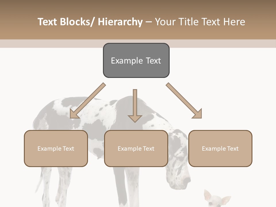Huge Sitting Togetherness PowerPoint Template