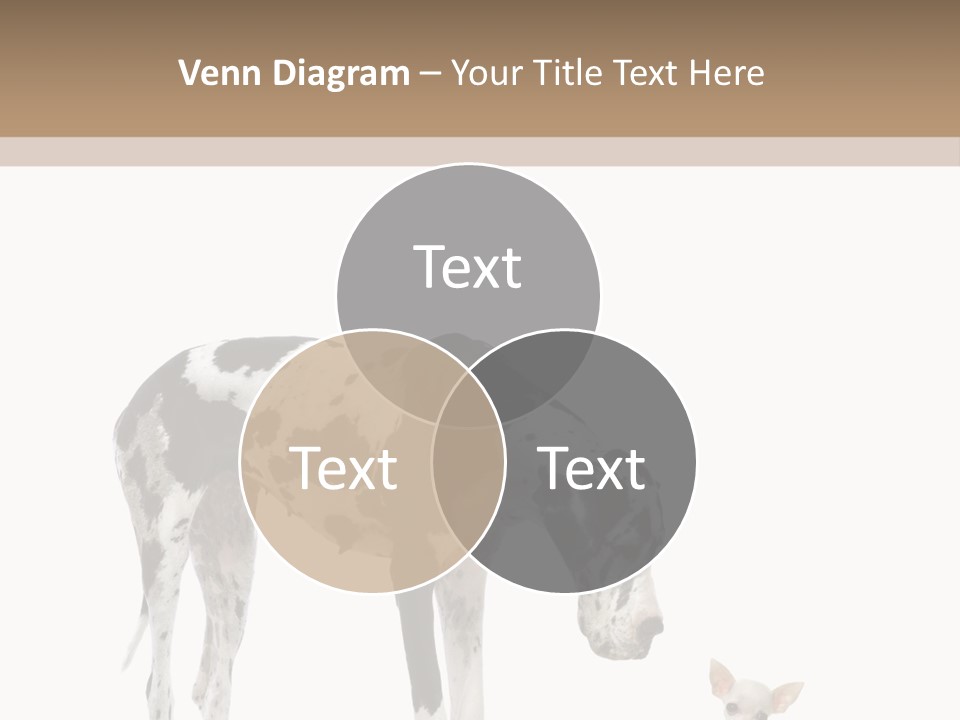 Huge Sitting Togetherness PowerPoint Template