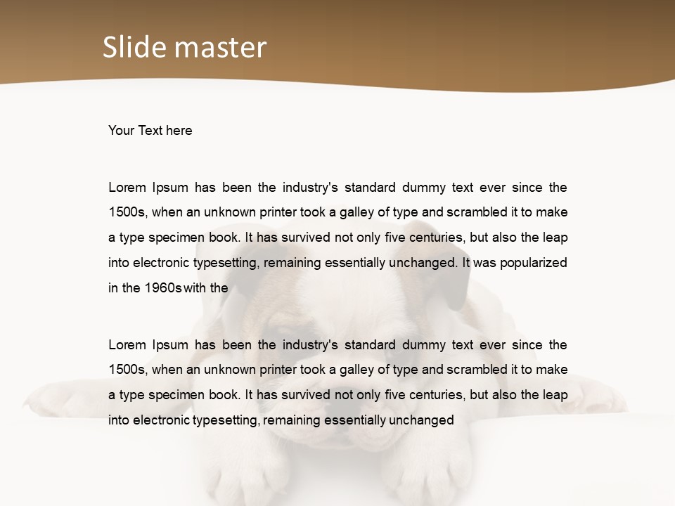 Smart Watching English Bulldog Puppy PowerPoint Template