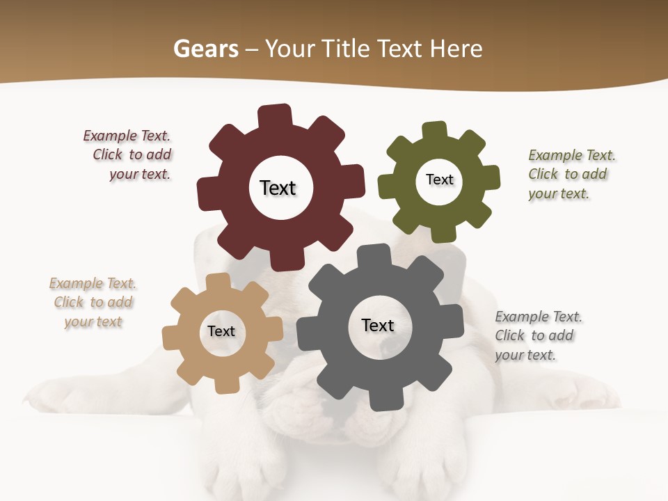 Smart Watching English Bulldog Puppy PowerPoint Template