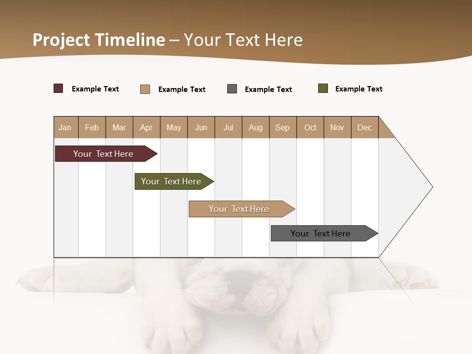 Smart Watching English Bulldog Puppy PowerPoint Template