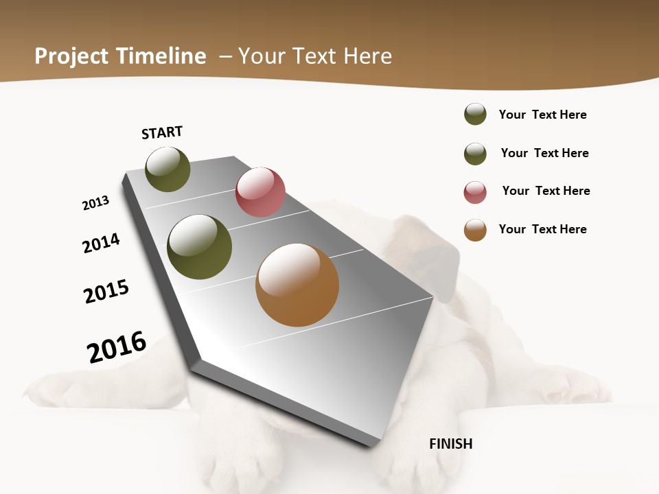 Smart Watching English Bulldog Puppy PowerPoint Template