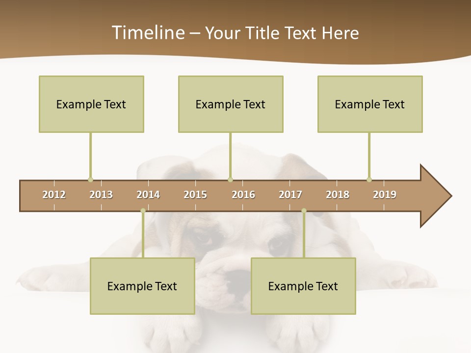 Smart Watching English Bulldog Puppy PowerPoint Template