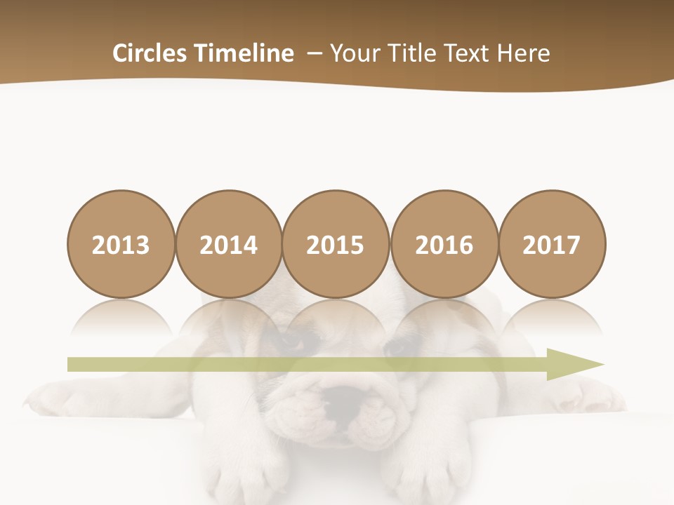 Smart Watching English Bulldog Puppy PowerPoint Template