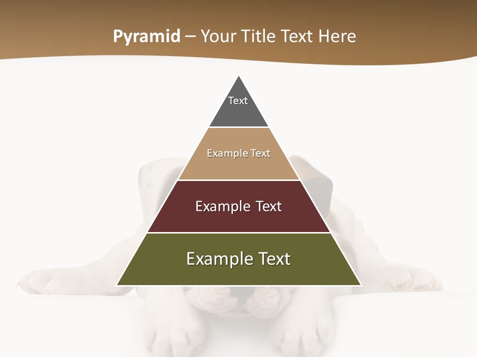 Smart Watching English Bulldog Puppy PowerPoint Template