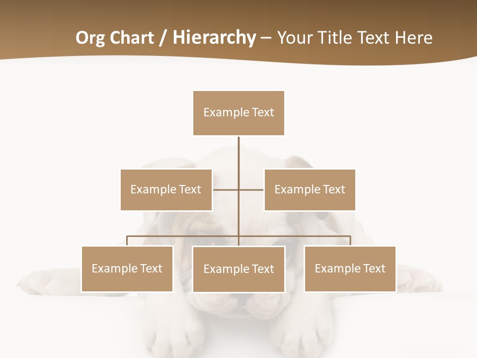 Smart Watching English Bulldog Puppy PowerPoint Template