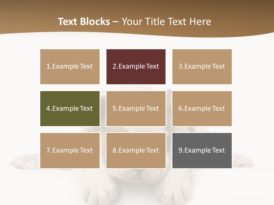 Smart Watching English Bulldog Puppy PowerPoint Template