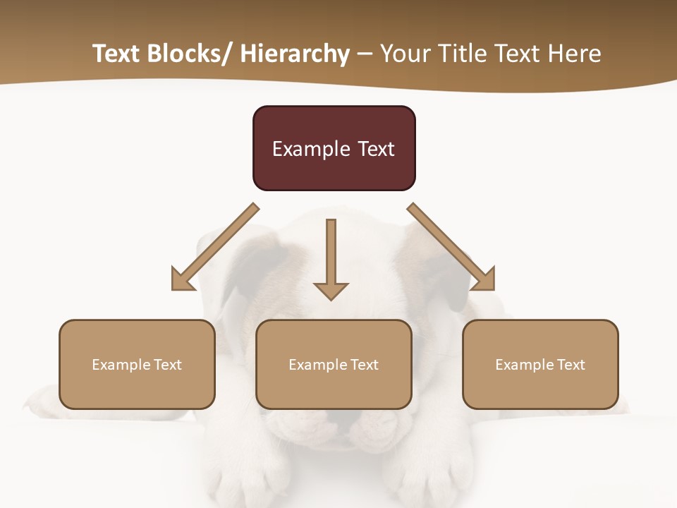 Smart Watching English Bulldog Puppy PowerPoint Template