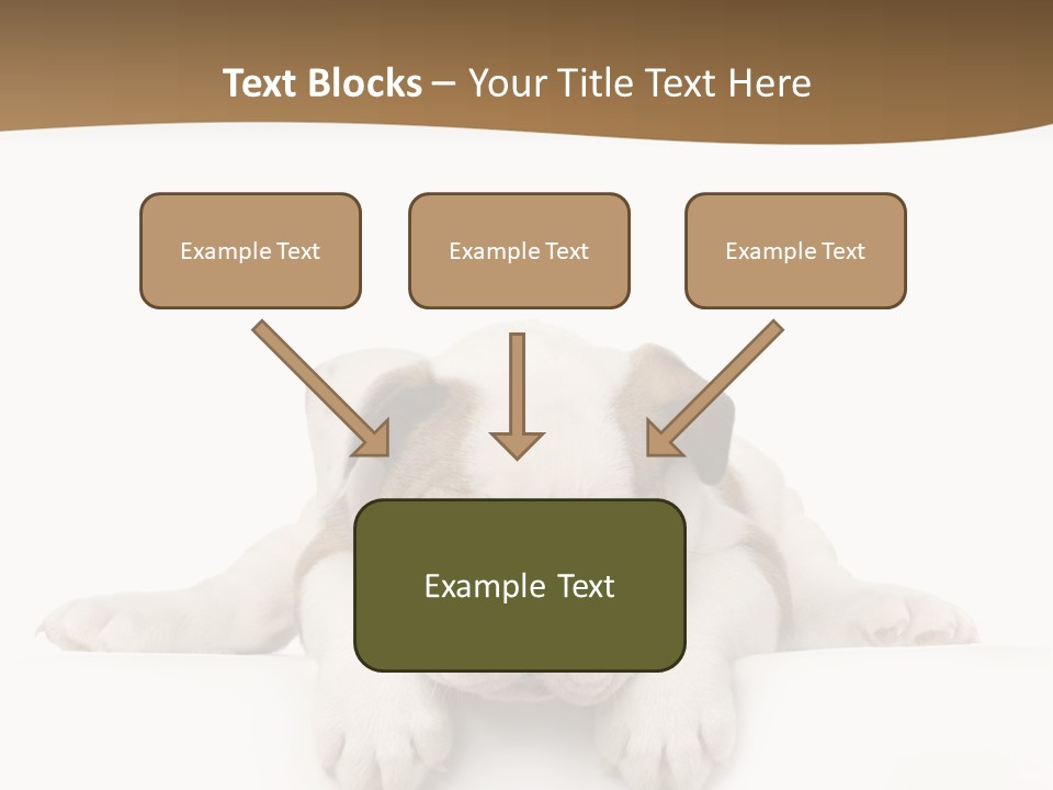 Smart Watching English Bulldog Puppy PowerPoint Template