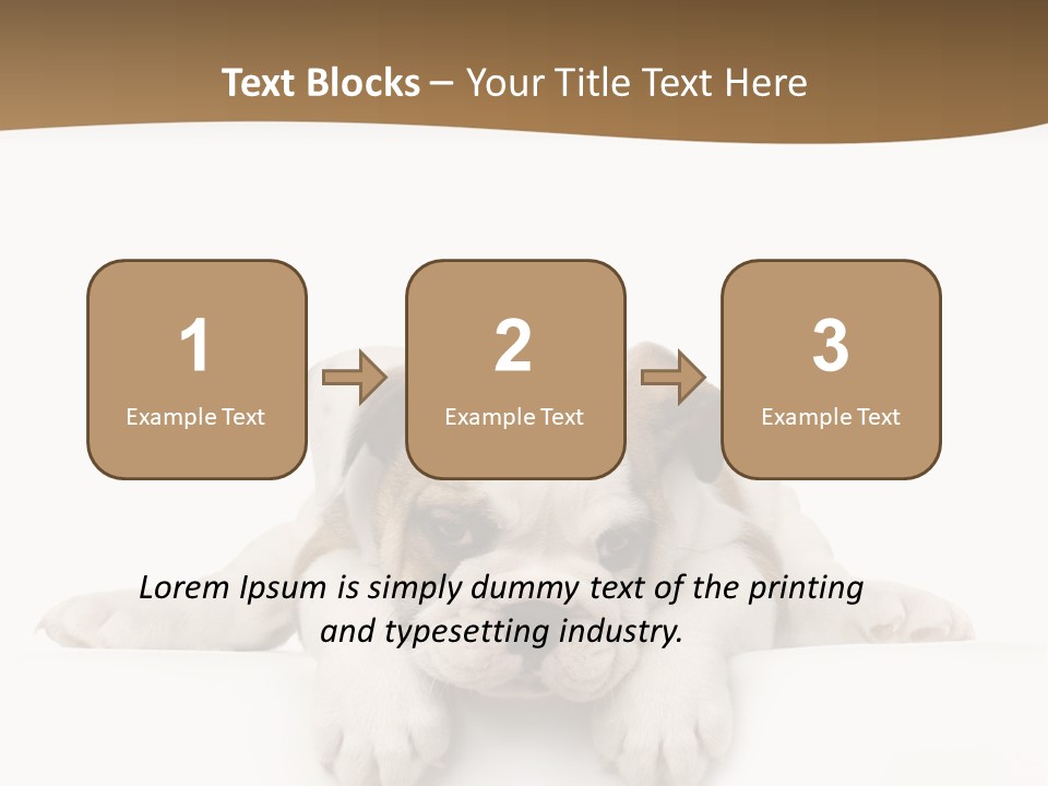 Smart Watching English Bulldog Puppy PowerPoint Template