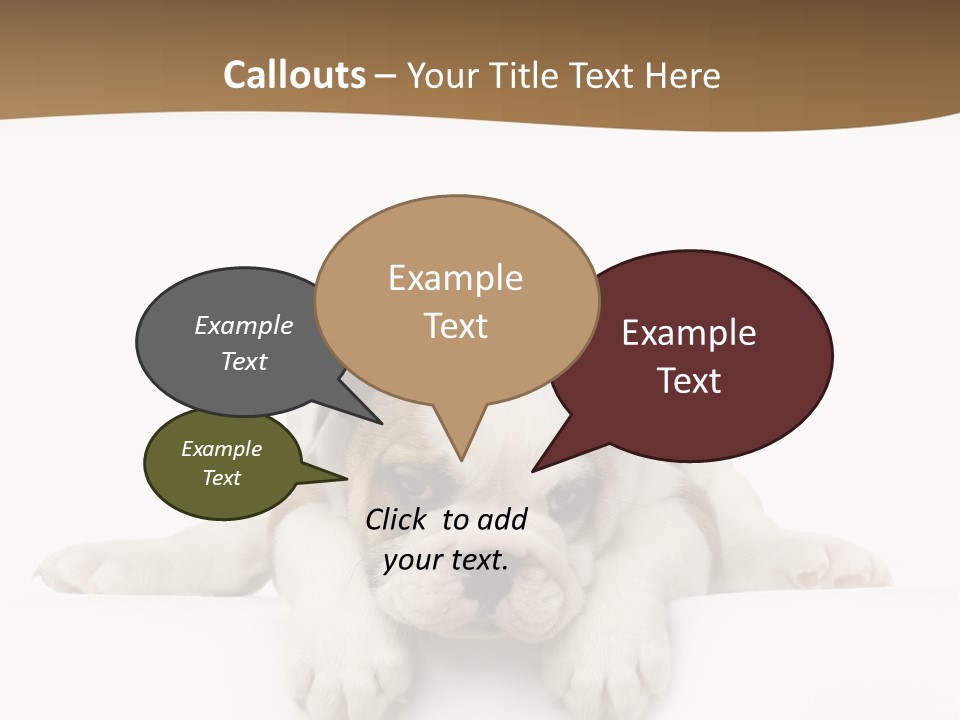 Smart Watching English Bulldog Puppy PowerPoint Template
