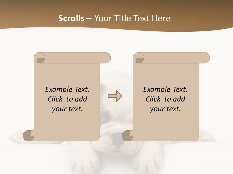 Smart Watching English Bulldog Puppy PowerPoint Template