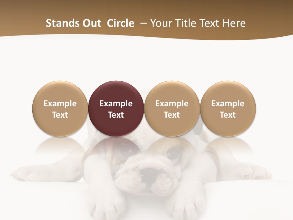 Smart Watching English Bulldog Puppy PowerPoint Template