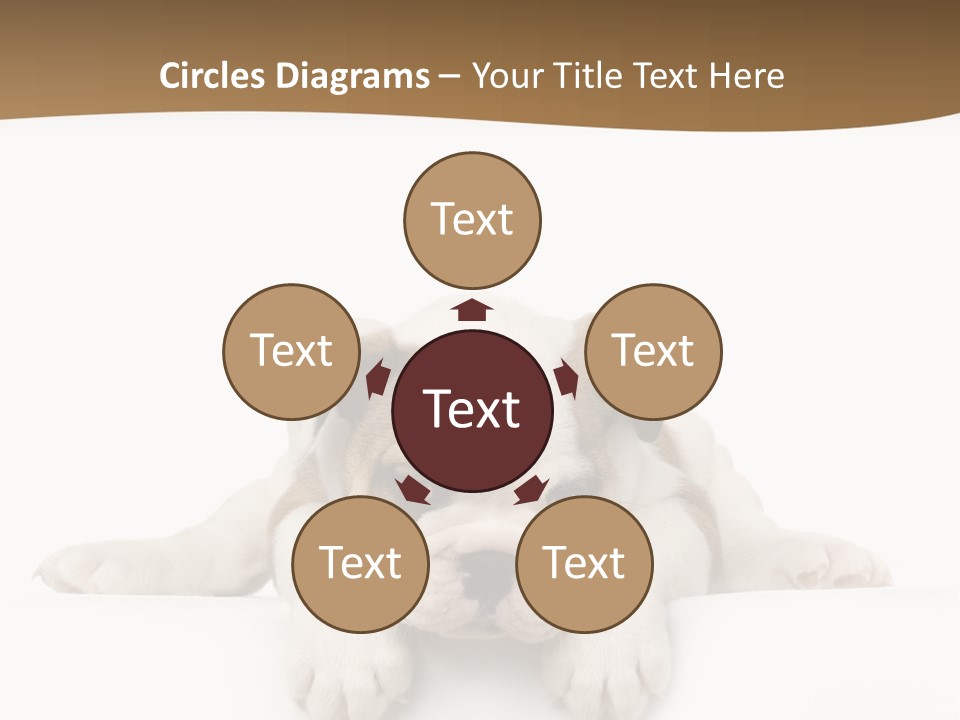 Smart Watching English Bulldog Puppy PowerPoint Template