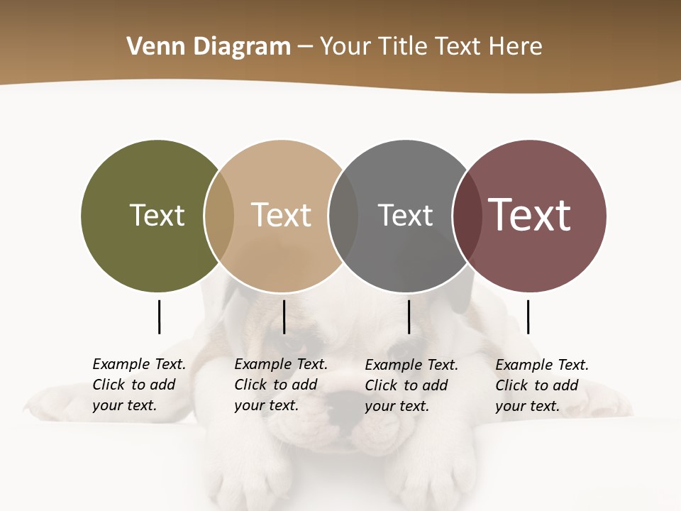 Smart Watching English Bulldog Puppy PowerPoint Template