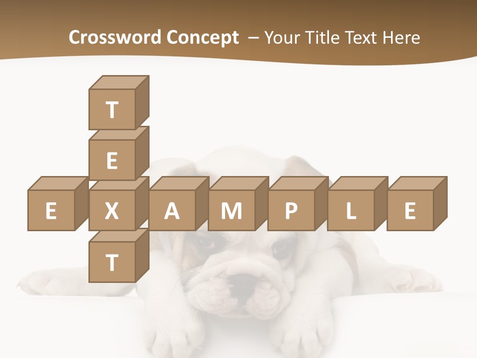 Smart Watching English Bulldog Puppy PowerPoint Template