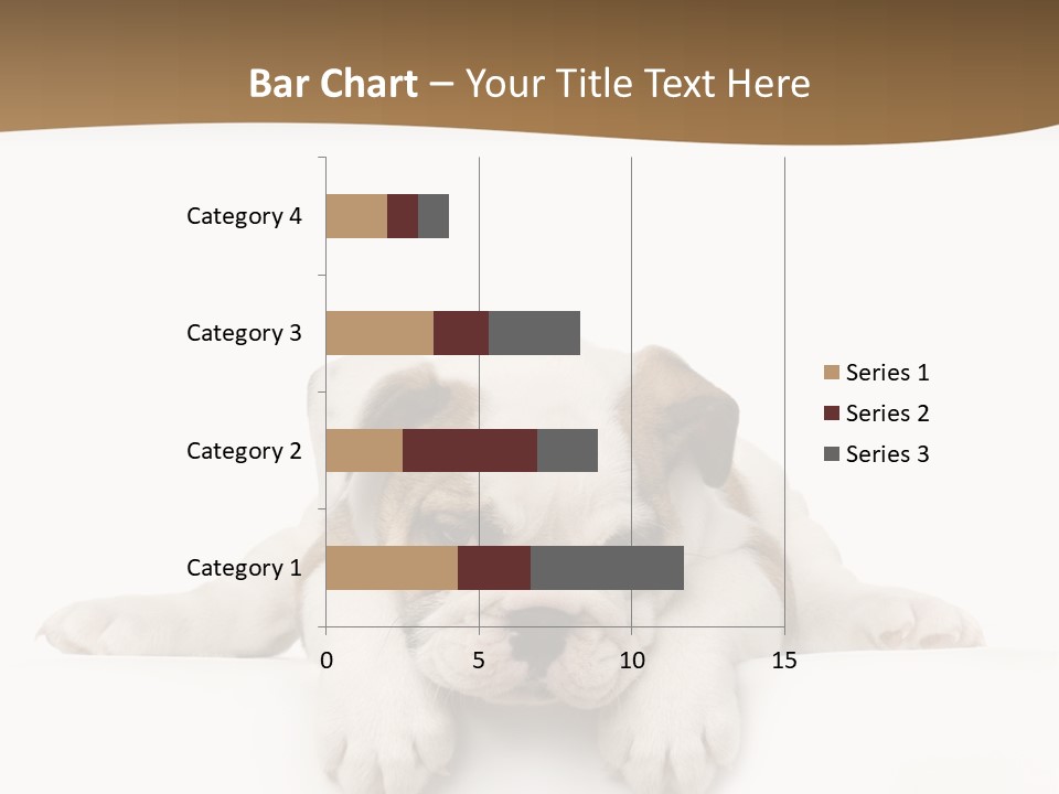 Smart Watching English Bulldog Puppy PowerPoint Template