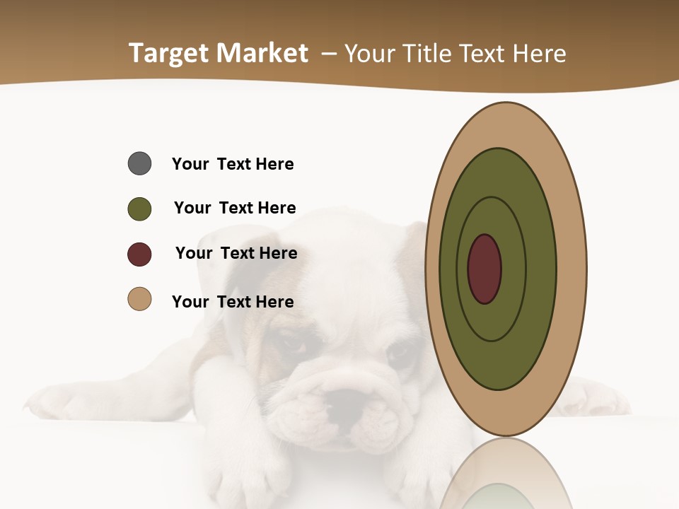 Smart Watching English Bulldog Puppy PowerPoint Template