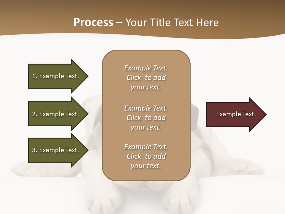 Smart Watching English Bulldog Puppy PowerPoint Template
