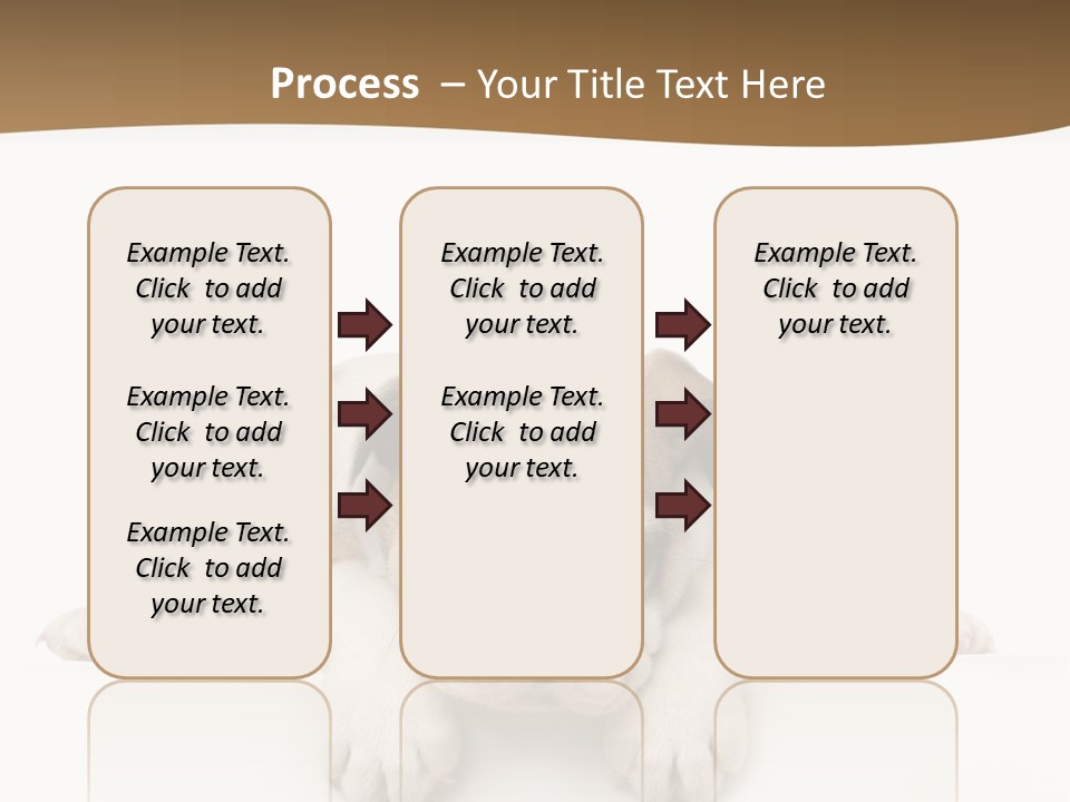 Smart Watching English Bulldog Puppy PowerPoint Template