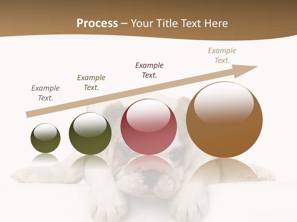 Smart Watching English Bulldog Puppy PowerPoint Template