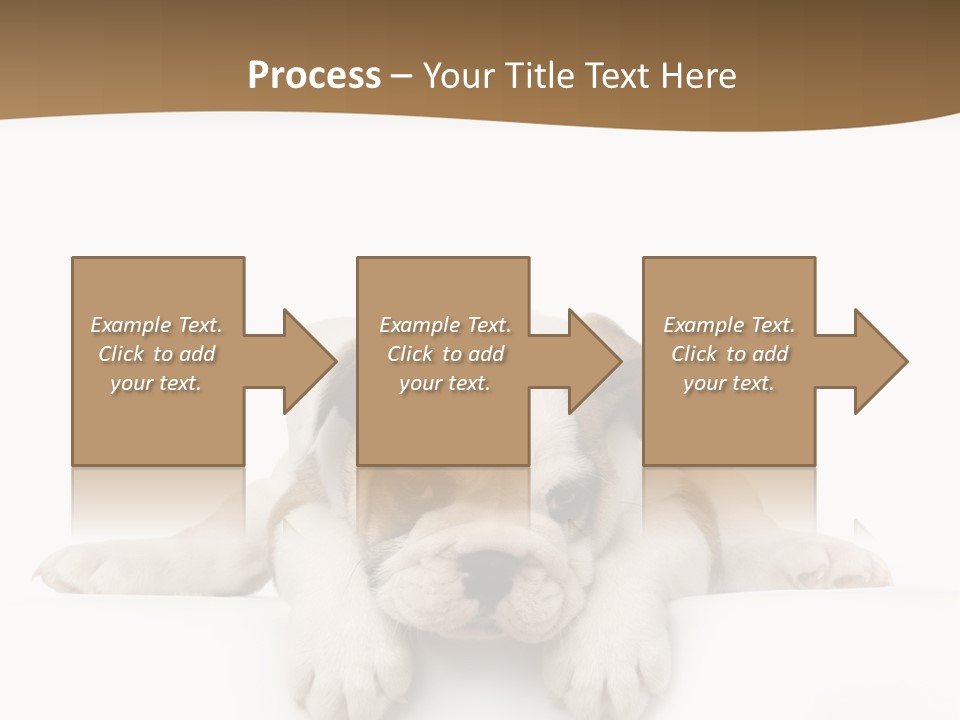 Smart Watching English Bulldog Puppy PowerPoint Template