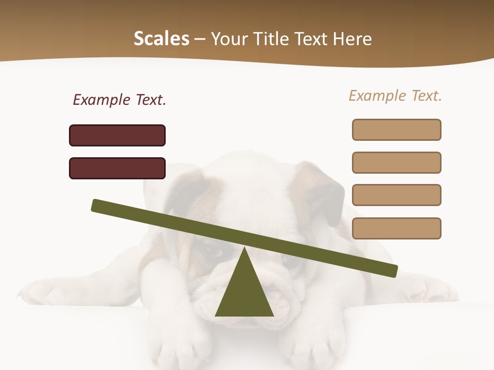Smart Watching English Bulldog Puppy PowerPoint Template
